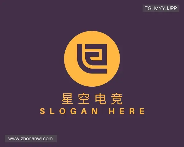 认识xingkong电竞